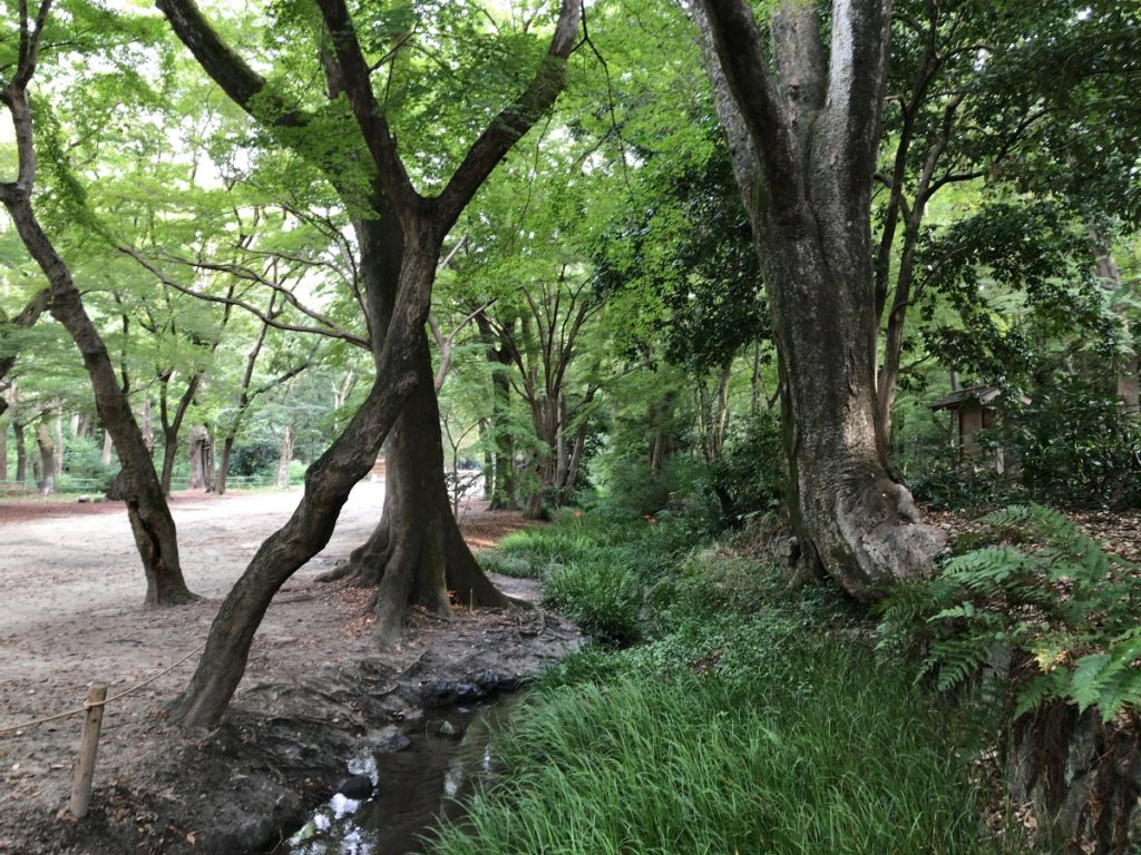 気持ちと行動を合わせてみよう